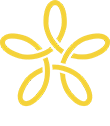 SandDollar