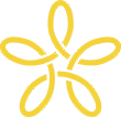 SandDollar